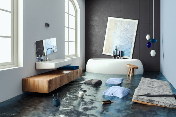 Best Ceiling water damage repair  in Conestee, SC