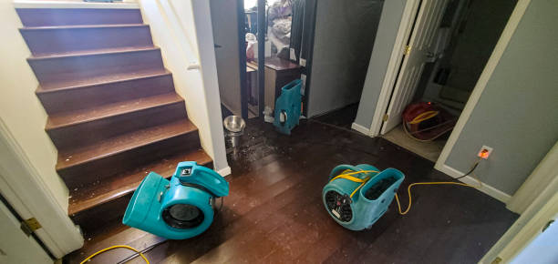 Best Flooded house restoration  in Conestee, SC