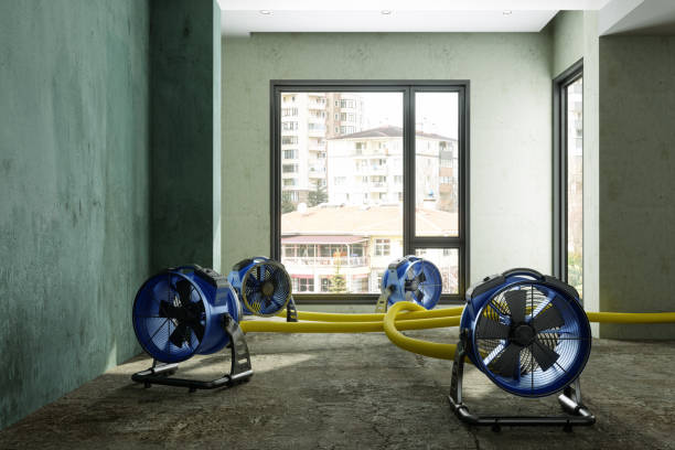 Best Water damage contractors near me  in Conestee, SC